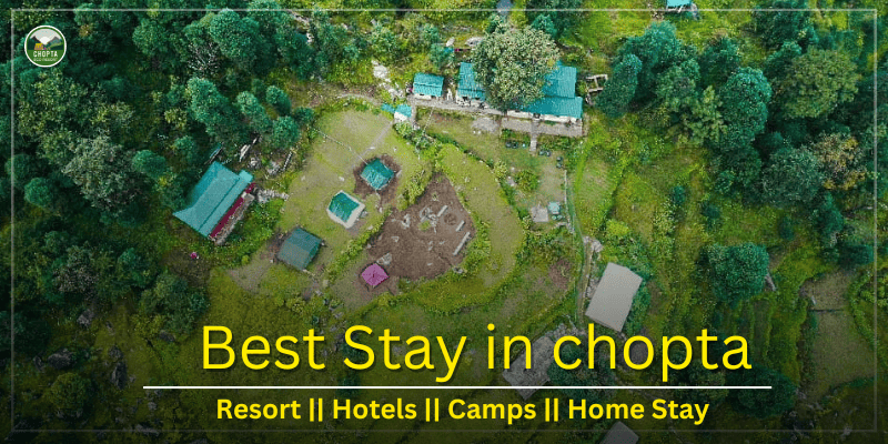 Hotels in Chopta