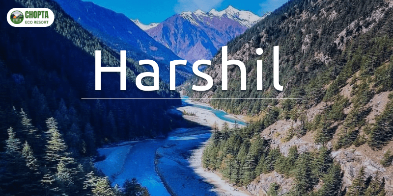 Harshil