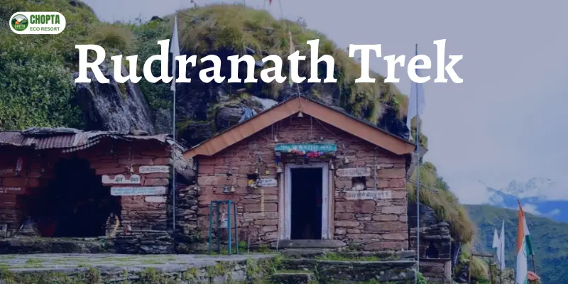 Rudranath Yatra Trek